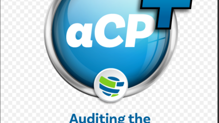 Online: Auditing the Cybersecurity Program Certificate Oct. 2026 - IFACI