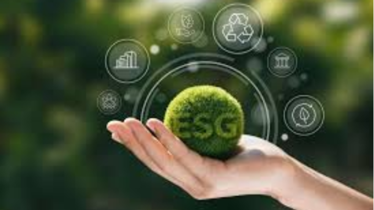 Online: ESG Certificate - Internal Auditing for Sustainable Organizations June 2026 - IFACI