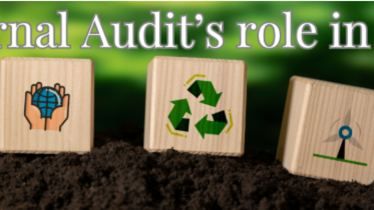 Online: The role of Internal Audit in ESG - IFACI