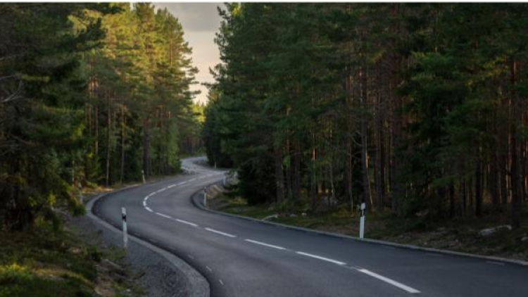 Nätverket för totalförsvaret:  Perspektiv på totalförsvar – sektorsansvar, regional samordning och vägen framåt
