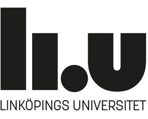 Internrevisor verksamhetsrevision till Linköpings universitet
