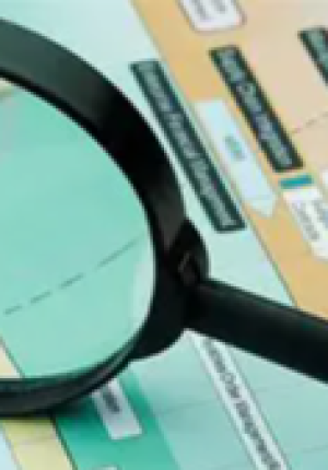 Du som blir granskad