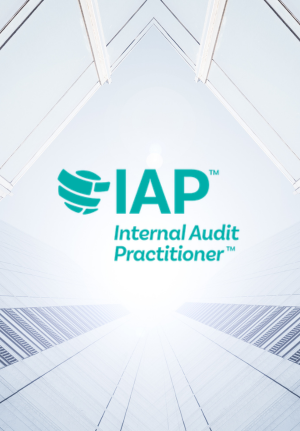 Internal Audit Practitioner